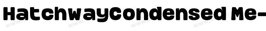 HatchwayCondensed Me字体转换